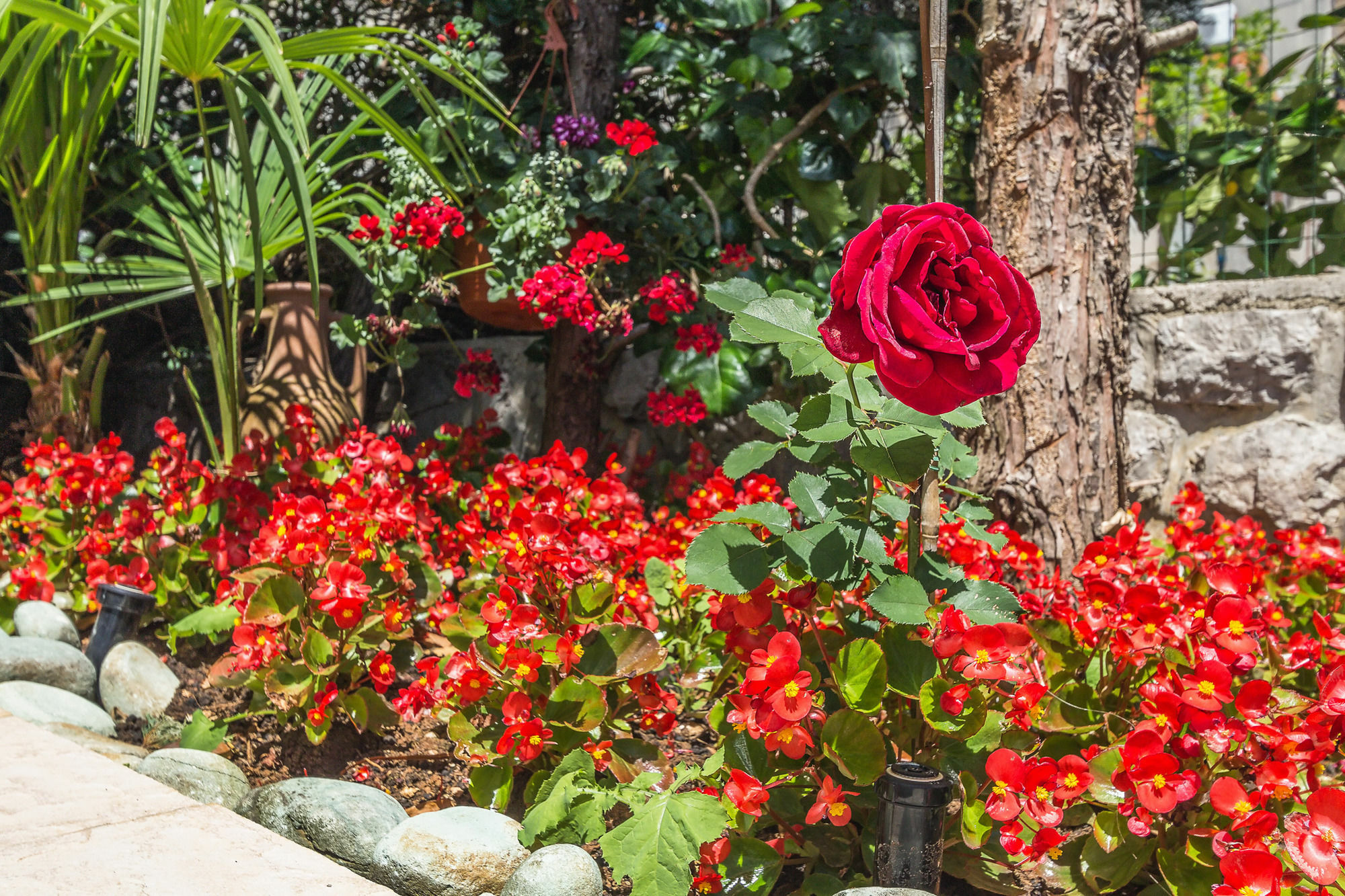 Villa Roses Apartments & Wellness Ičići Екстериор снимка